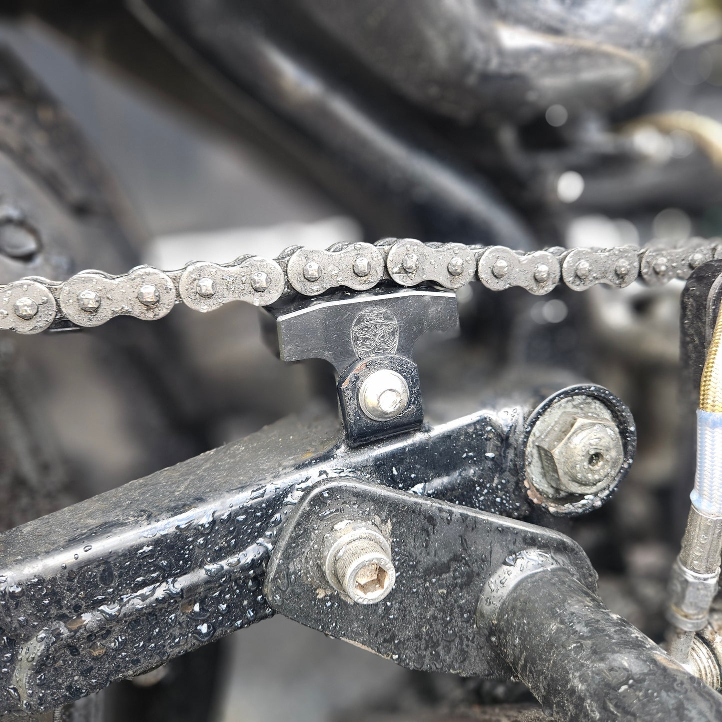 Whooligan 2003 & Down Sportster Chain Slider